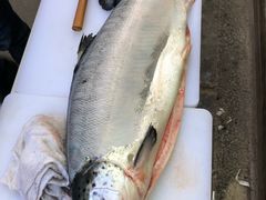 -平川日本料理