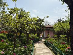 -太阳宫公园