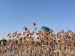 -无锡蠡湖国家湿地公园-蠡园