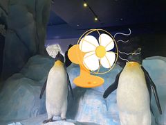 -珠海长隆海洋王国