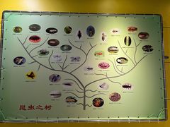 -上海昆虫博物馆