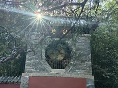 -泰山风景名胜区-普照寺