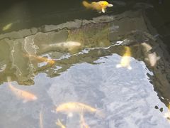-碧水湾温泉