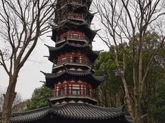 -上海佘山国家森林公园西佘山园