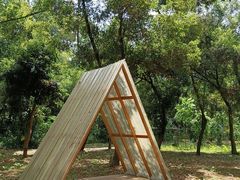 -南宁良凤江国家森林公园