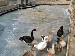 -南宫五洲植物乐园