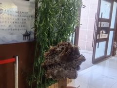 -特克斯八卦城