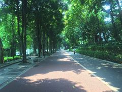 -南宁南湖公园