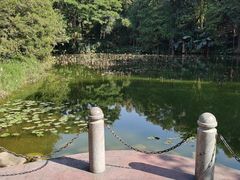-荔香公园