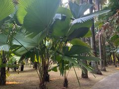 -华南国家植物园-售票处