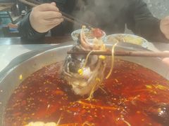 -蜀今朝美蛙鱼头火锅(筠连店)