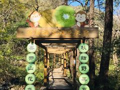-大岭沟猕猴桃谷风景区