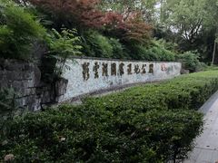 -重庆彩云湖湿地公园