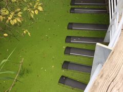 -西湖风景区-江洋畈生态公园