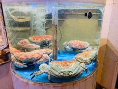 -顺峰(农展馆店)