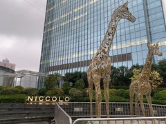 -长沙尼依格罗酒店