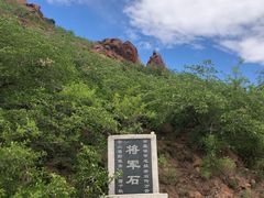 -红山国家森林公园