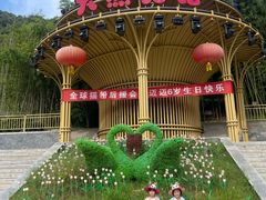 -栾川竹海野生动物园