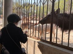 -石家庄市动物园