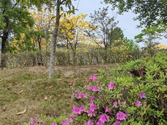 -中国移动南方基地