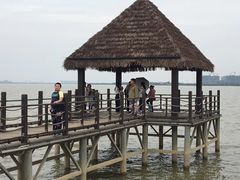 -瑶湖郊野森林公园