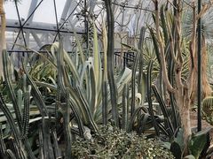 -北京植物园-展览温室