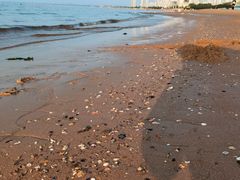 -秦皇岛秦皇国际大酒店