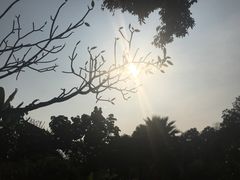 -四季酒店下午茶