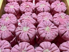 -稻香村(文殊院旗舰店)