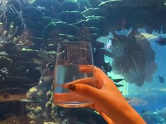 -迪拜帆船酒店海底餐厅