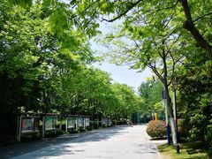 -耿福兴(杏花店)