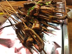 鳝鱼-晓靖轩烧烤(沙河风情店)