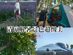 -哈尔滨大剧院