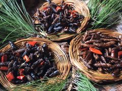 -昆虫窝子·特色云南菜(拓东路总店)