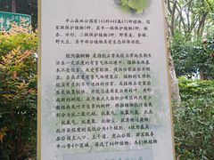 -杭州半山国家森林公园