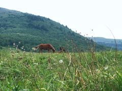 -北京灵山风景区