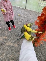 -萌宠亲子动物乐园(槐房万达店)