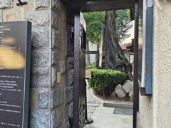 -静园(和平区)