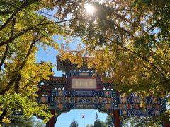 -北京国子监胡同
