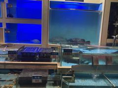 -宜宾海鲜酒家·三十年老字号