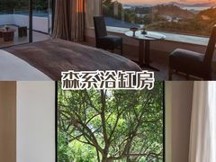 -杨梅坑