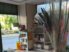-中农国际动物医院24小时·猫科·骨科·急重症中心