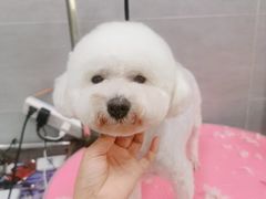 -宠福鑫康馨动物医院·骨科·眼科