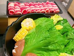 -顺德公广东猪肚鸡·煲仔饭(白石洲店)