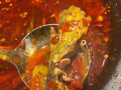 -小饕荟雅安贡椒鱼鲜馆(广福桥店)