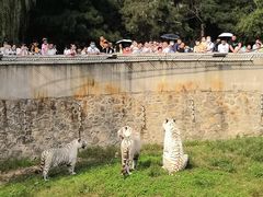 -西安秦岭野生动物园