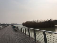 -滆湖低碳生态公园