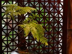 -心足私家足疗SPA(深圳湾店)