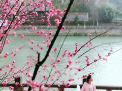 -望江楼公园