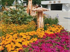 -国家植物园